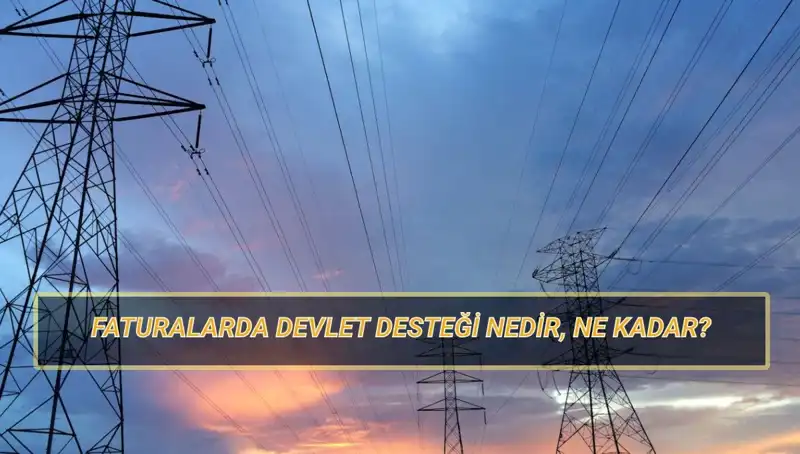 2025'te Doğalgaz ve Elektrik Faturalarında Devlet Desteği: Kimler Faydalanabilir?