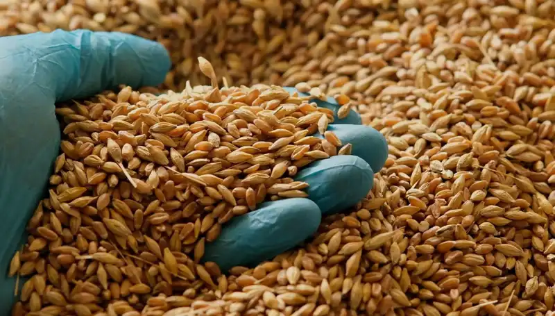 Kalp Hastalığı Riskinizi Azaltacak Beslenme İpuçları ve Önerileri