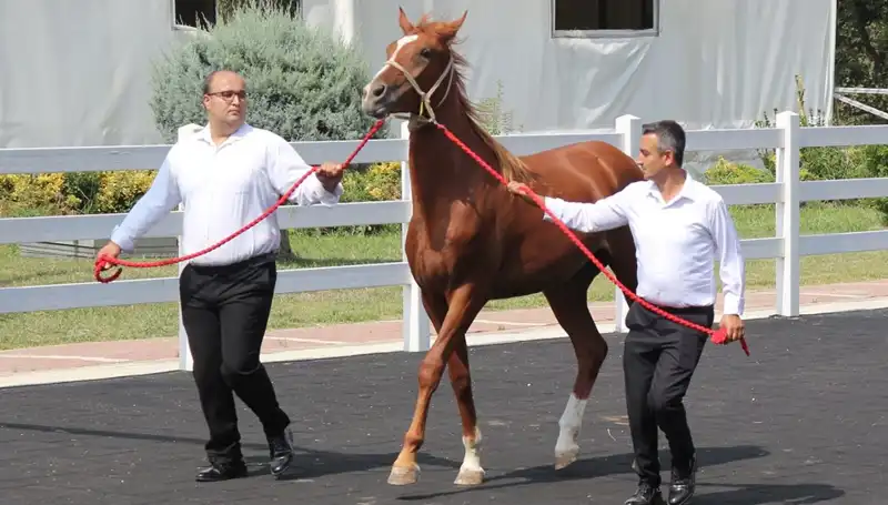 Taşkın Kral Rekorlarıyla Yılın En Çok Konuşulan Oyuncusu Oldu