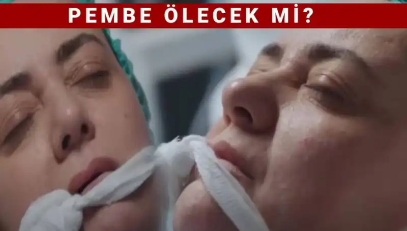 Pembe Karakteri Kızılcık Şerbeti'nde Neden Kayboldu? Gizemli Ayrılığın Ayrıntıları