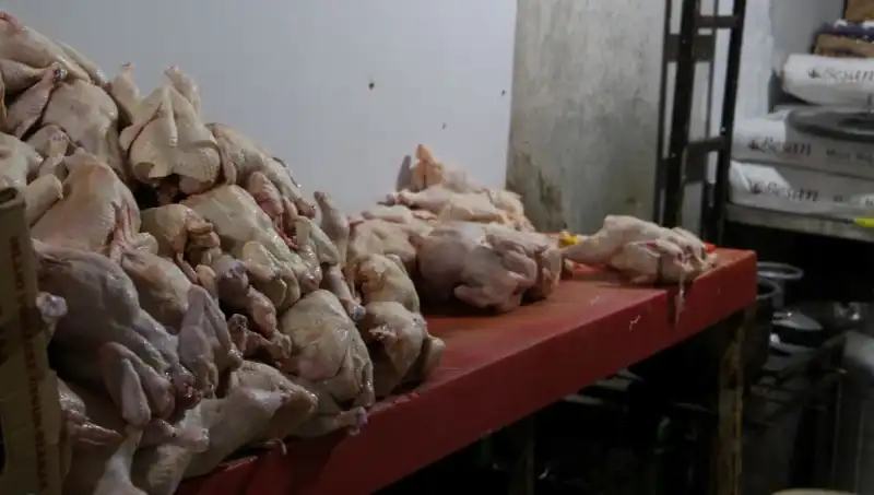 Mide Bulandıran Görüntüler: Döner İmalathanesinde Şok Eden İhlaller