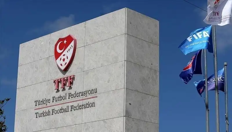 Türkiye Profesyonel Liglerinde Takım Sayısı Neden Azalıyor?