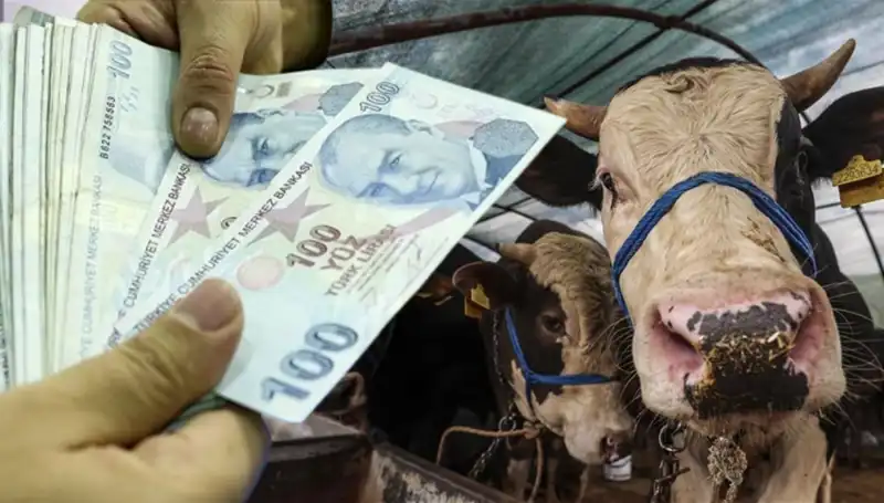 Kurban Bayramı Öncesi Emekli ve Memur Maaşları Yatacak mı?
