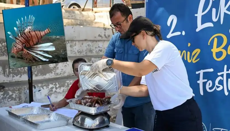 Antalya'da İstilacı Aslan Balığı Avlama Yarışması: Beklentilerin Ötesinde Bir Rekabet