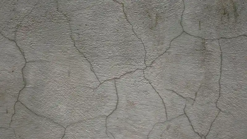 Canlı Betondan Eşsiz Yenilik: Çatlakları Kendiliğinden Onarıyor!
