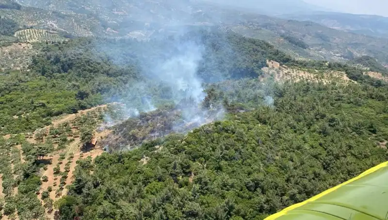 Aydın’da Korkutan Orman Yangını: Doğa Yeşil Alanları Kurtarmak İçin Mücadele Ediyor