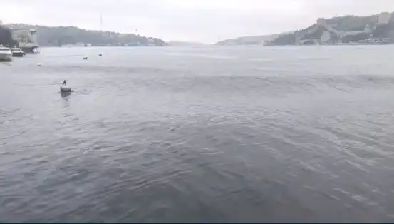 İstanbul'u Sarsan Deprem: 6,2 Büyüklüğündeki Sarsıntının Etkileri