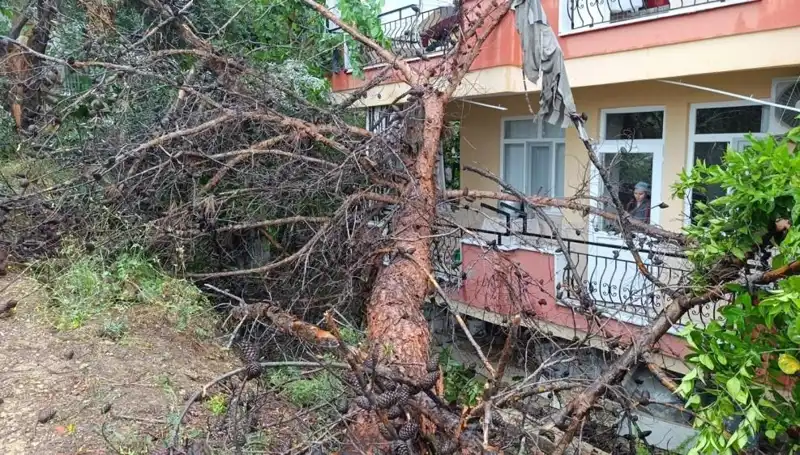 Yağmura Dayanamayan Bina, Çökmeyle Sonuçlanan Korkutucu Olay